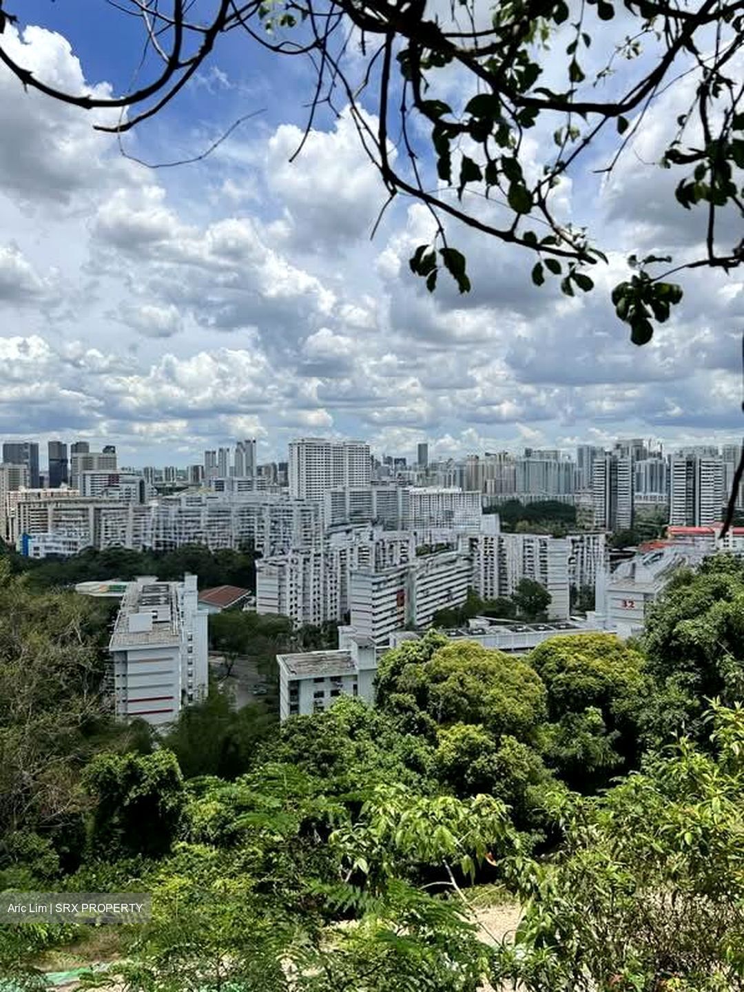 The Pearl @ Mount Faber (D4), Condominium #570702931